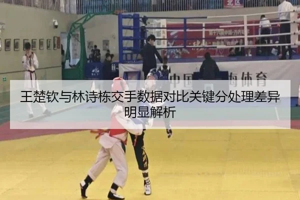 王楚钦与林诗栋交手数据对比关键分处理差异明显解析 - YAMEISPORTS