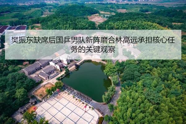 樊振东缺席后国乒男队新阵磨合林高远承担核心任务的关键观察 - YAMEISPORTS