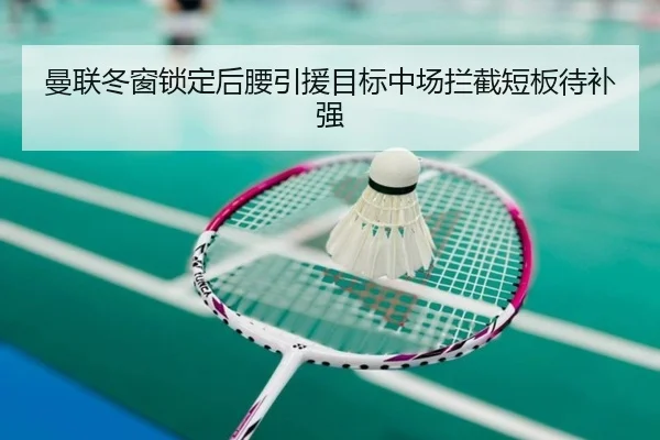 曼联冬窗锁定后腰引援目标中场拦截短板待补强 - YAMEISPORTS