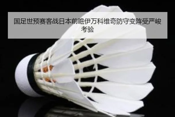 国足世预赛客战日本前瞻伊万科维奇防守变阵受严峻考验 - YAMEISPORTS